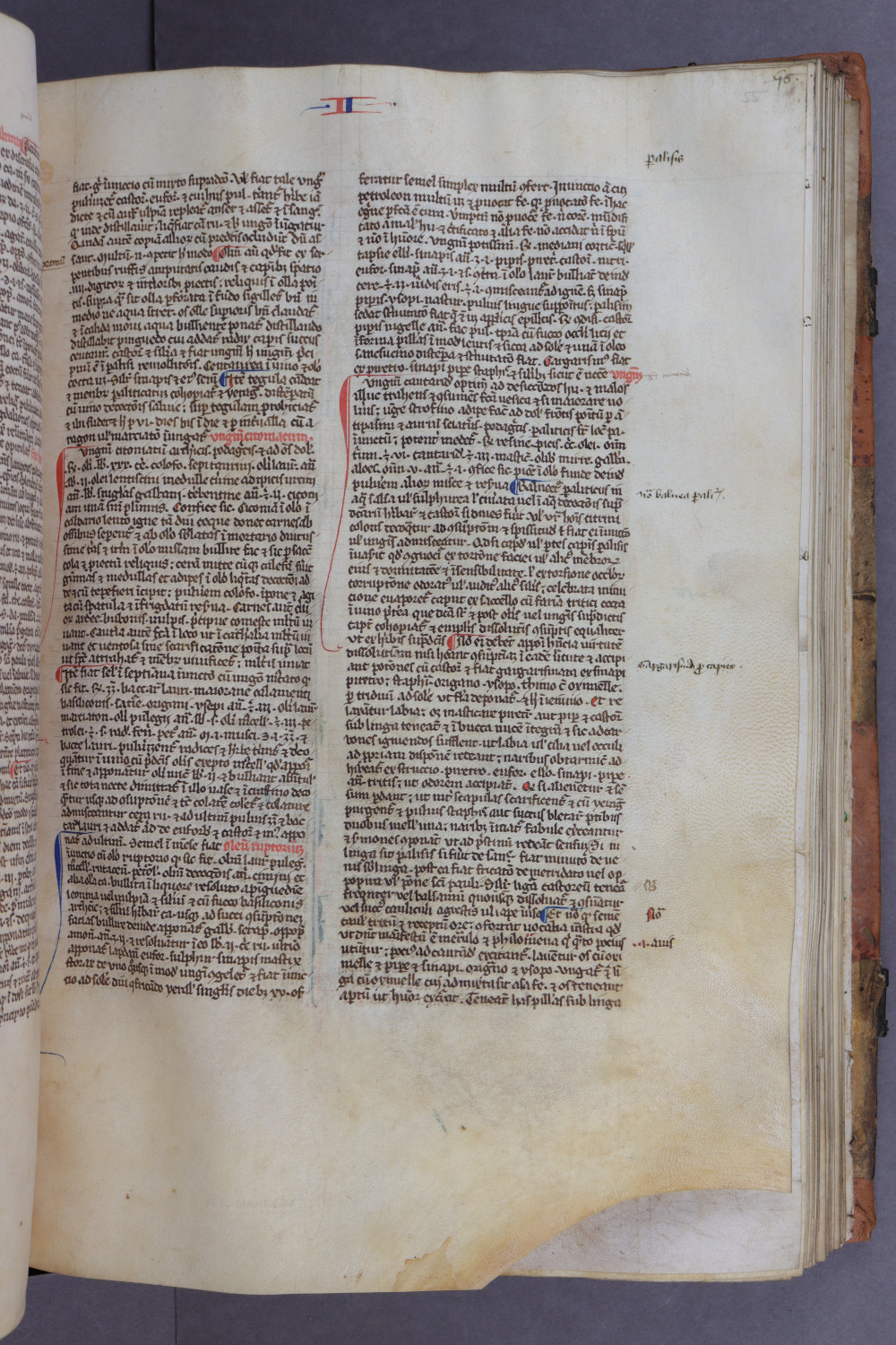Folio 55 recto